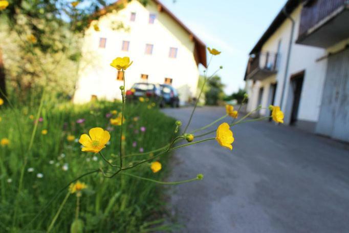 Huber * Engelhartszell