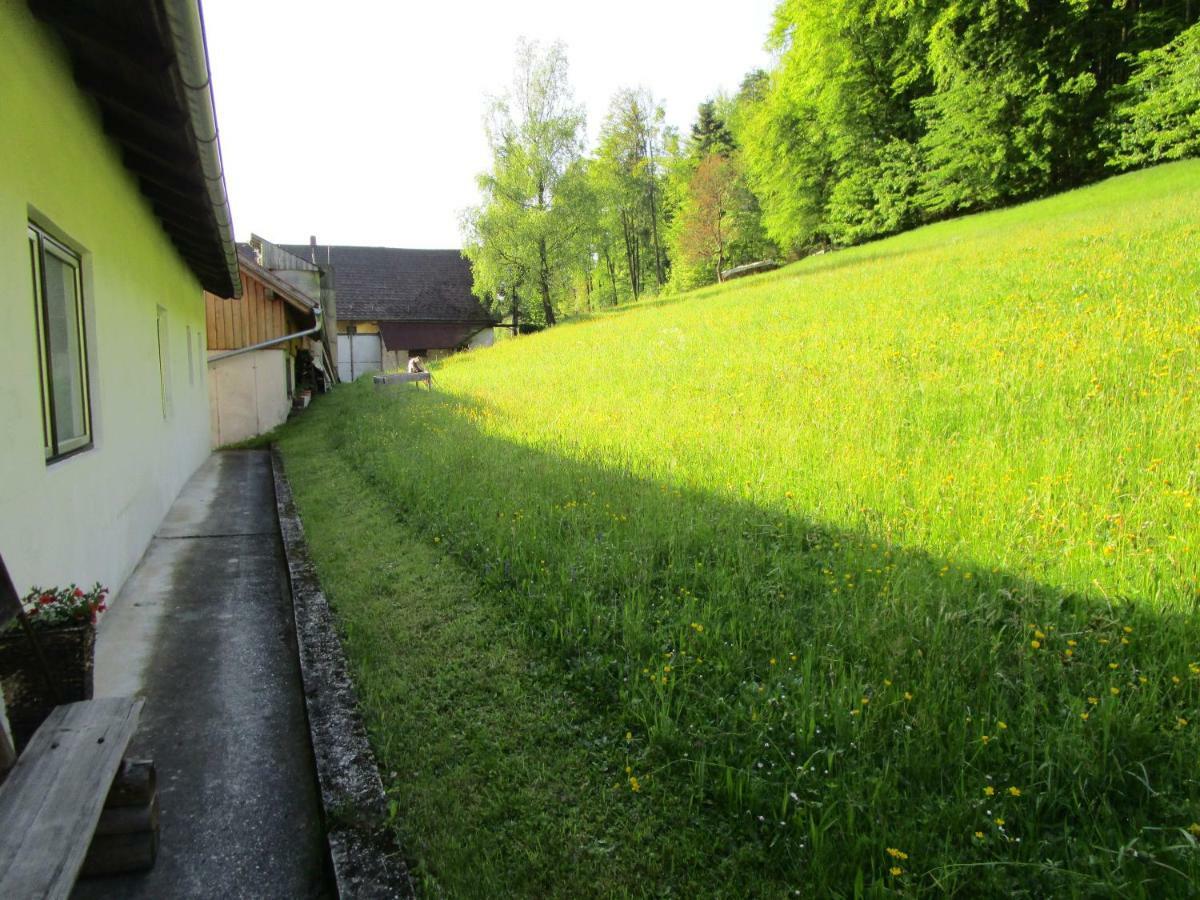 Apartment Huber Engelhartszell